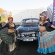 5.11.2015 Autoservis Slan�